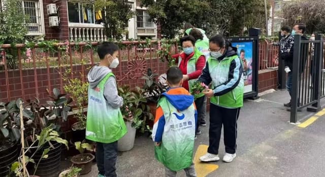 “遗弃之花”变身“社区之美”,宝山高境镇“微更新”焕发社区新风貌