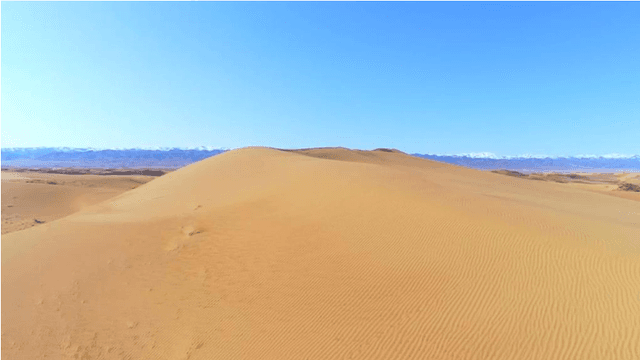 青海贵南:三十载植绿高原荒滩