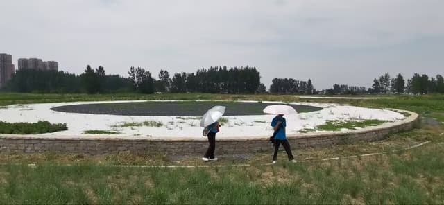 青春助力乡村绿——安徽财经大学学子赴蚌埠固镇县调研节能环保与治理