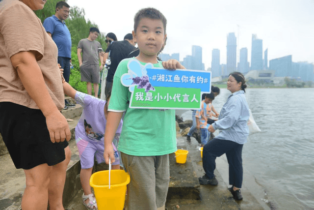 湖南长沙:科学养护湘江水生态,千尾土著鱼种花䱻放归自然