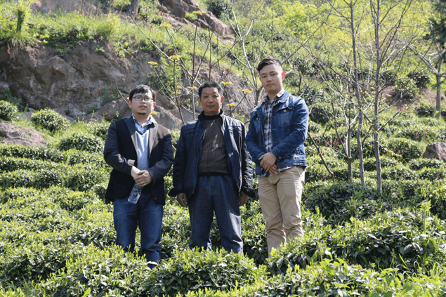 薪火相传,青春助力 ——安财学子探究亳州中医药文化传承与产业发展